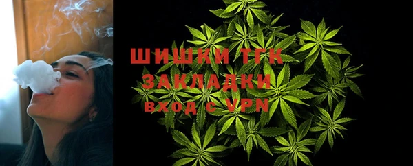 дживик Богородск