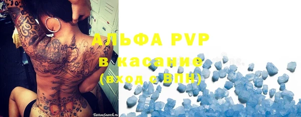дживик Богородск