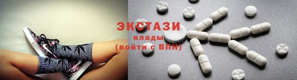 ECSTASY Богородицк