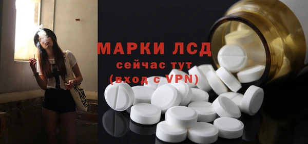 ECSTASY Богородицк