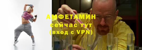 ECSTASY Богородицк