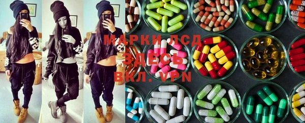 ECSTASY Богородицк