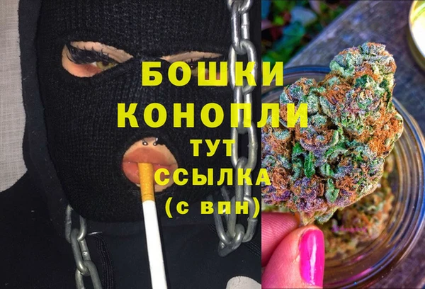 дживик Богородск
