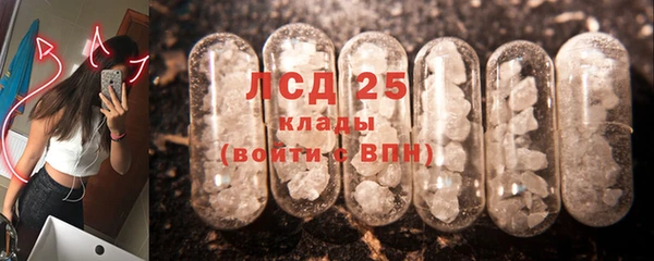 дживик Богородск