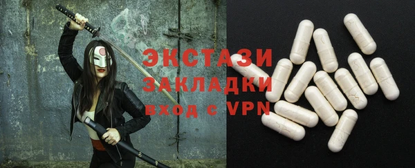 ECSTASY Богородицк