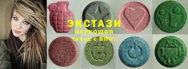 ECSTASY Богородицк