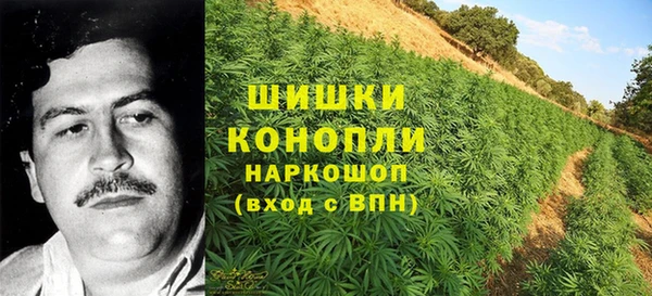 ECSTASY Богородицк
