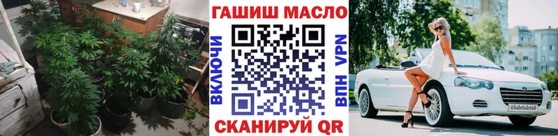 купить  сайты  Красноармейск  ТГК Wax 
